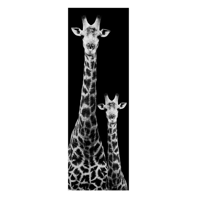 Billeder giraffer Giraffe Duo Black And White