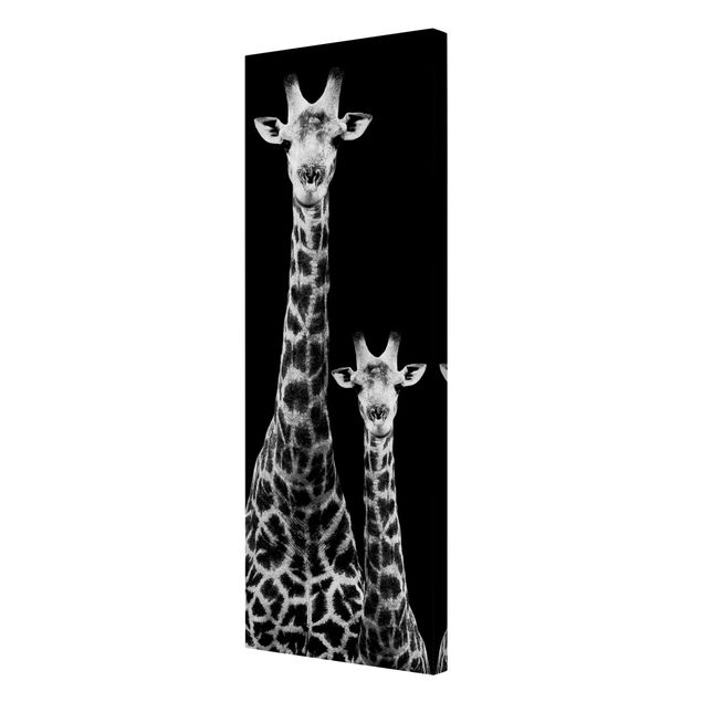 Billeder på lærred sort og hvid Giraffe Duo Black And White