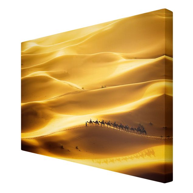 Billeder natur Golden Dunes