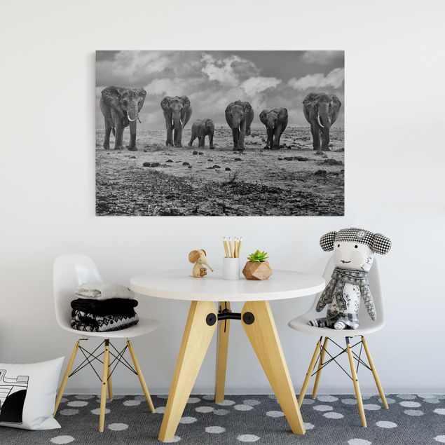 Billeder elefanter Large Familiy