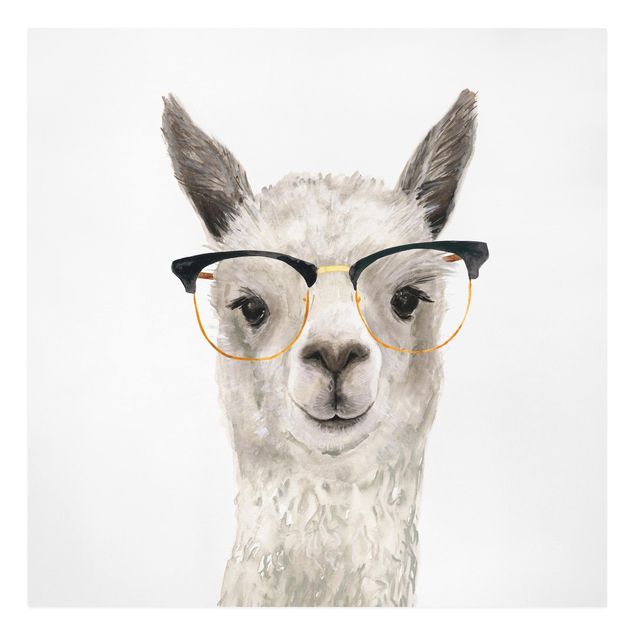 Billeder dyr Hip Lama With Glasses I