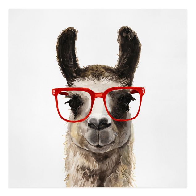 Billeder dyr Hip Lama With Glasses II