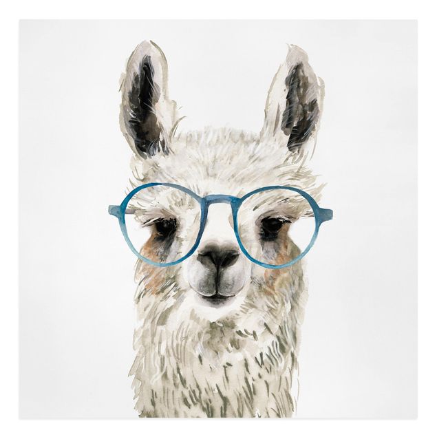 Billeder dyr Hip Lama With Glasses III