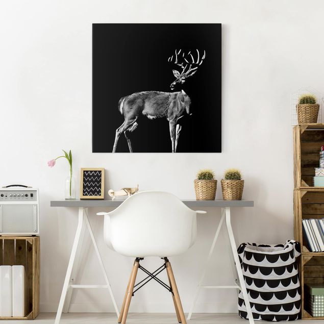 Billeder på lærred sort og hvid Deer In The Dark