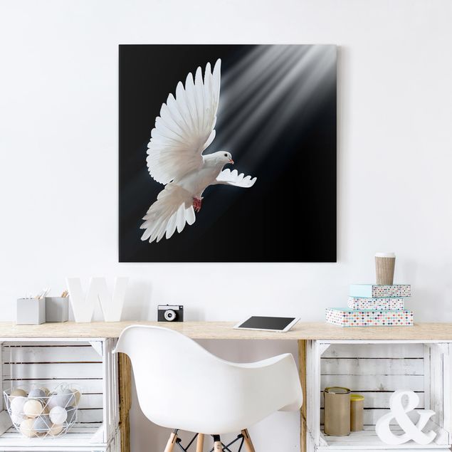 Billeder på lærred sort og hvid Holy Dove