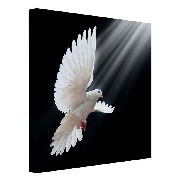 Billeder på lærred spirituelt Holy Dove