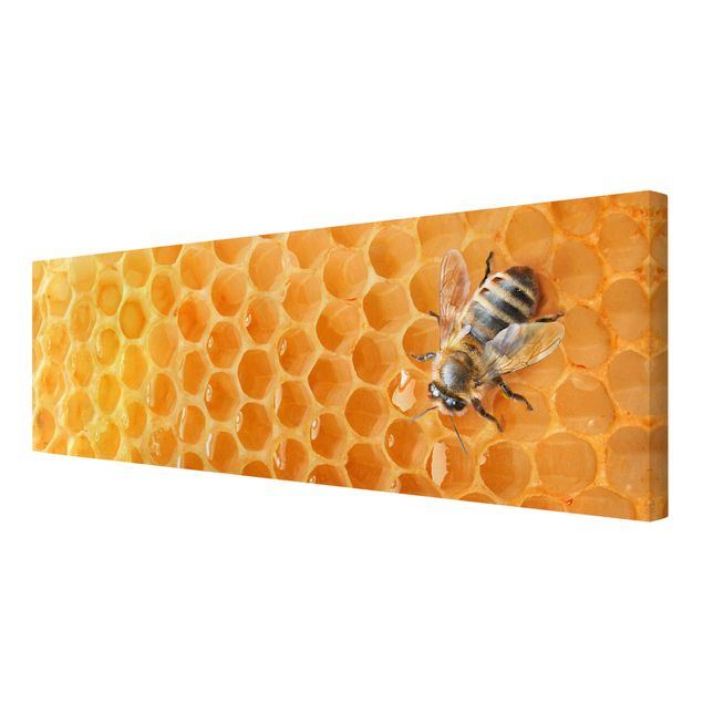 Billeder på lærred Honey Bee