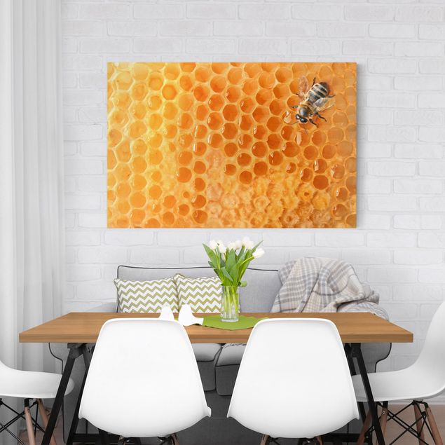 Billeder på lærred dyr Honey Bee