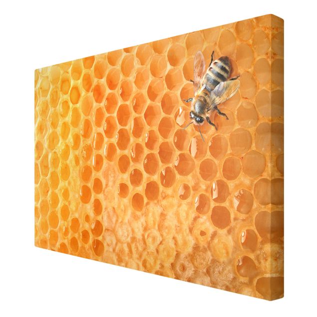 Billeder Honey Bee