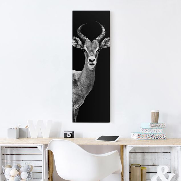 Billeder på lærred sort og hvid Impala antelope black and white