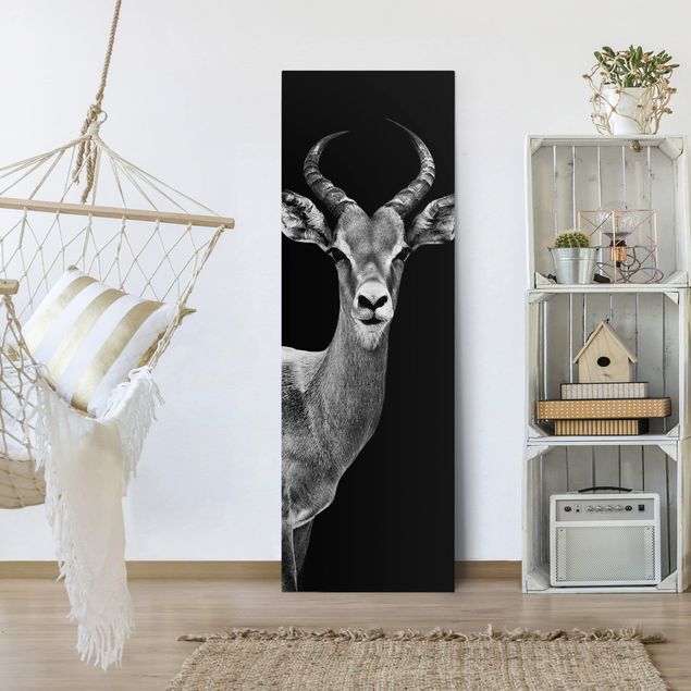 Billeder på lærred dyr Impala antelope black and white
