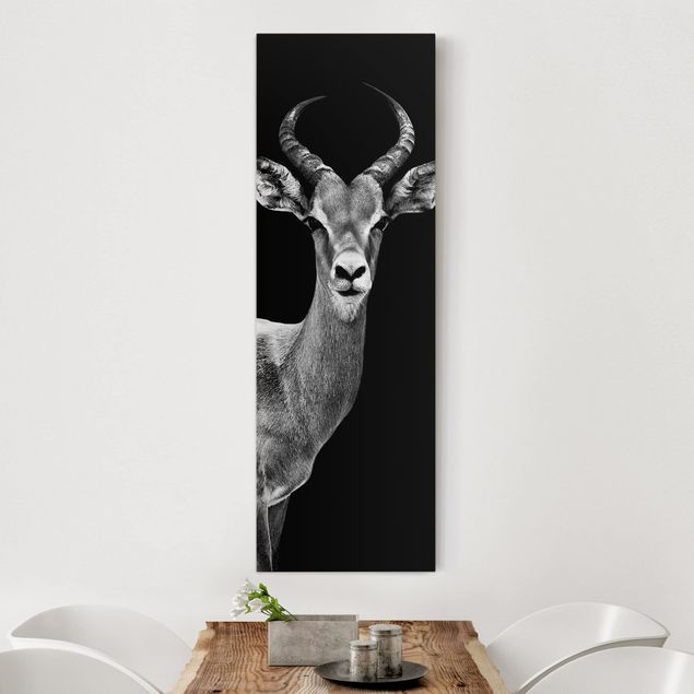 køkken dekorationer Impala antelope black and white