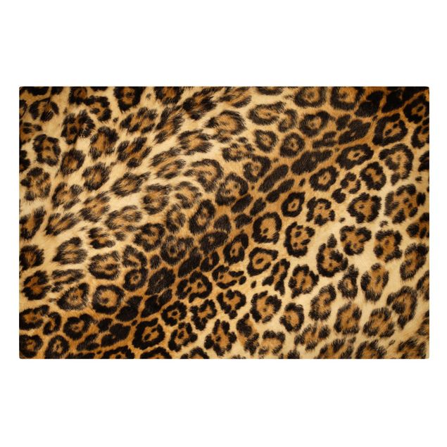 Billeder gul Jaguar Skin