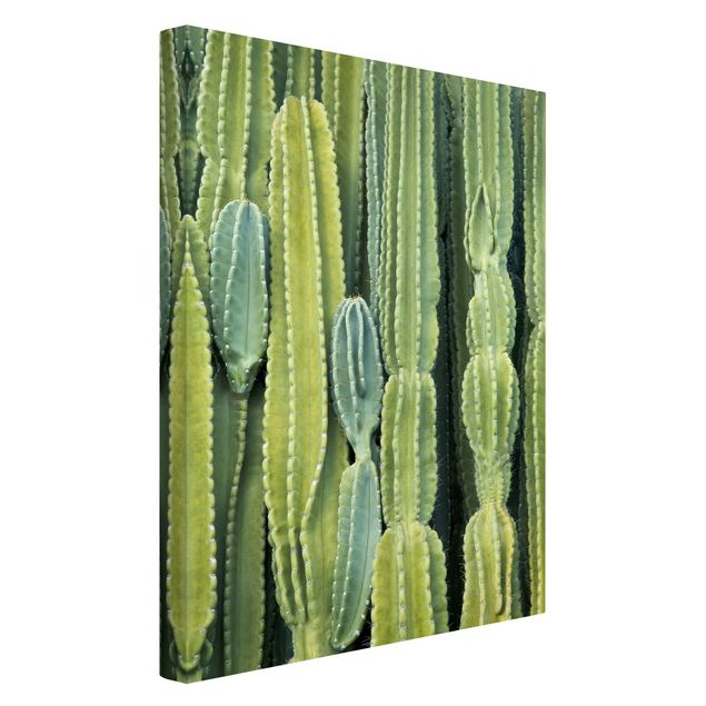 Billeder blomster Cactus Wall