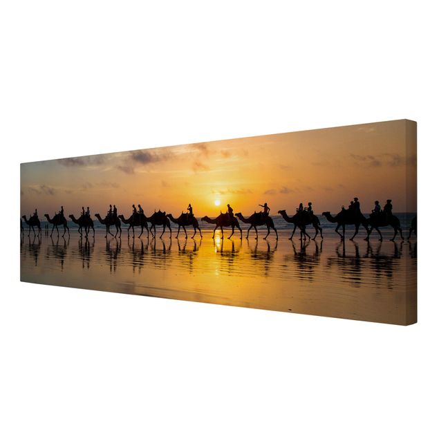 Billeder orange Camels in the sunset