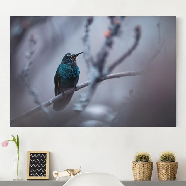 Billeder på lærred fugle Hummingbird In Winter