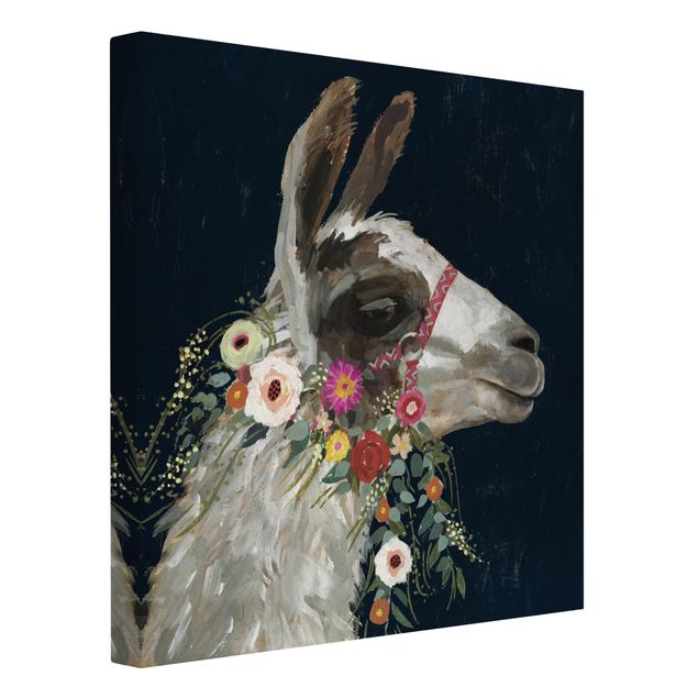 Billeder dyr Lama With Floral Decoration I