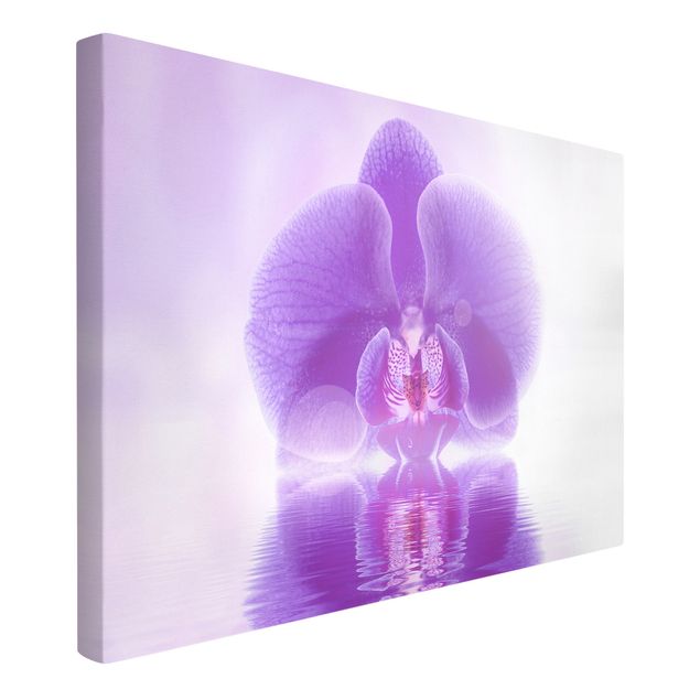 Billeder på lærred blomster Purple Orchid On Water
