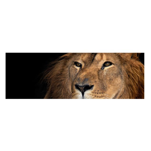 Billeder på lærred dyr Lion's Gaze