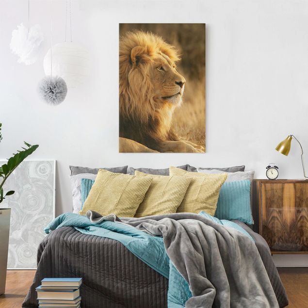 Billeder på lærred katte King Lion