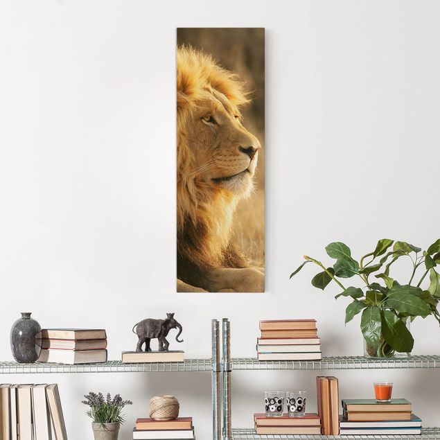 Billeder på lærred katte King Lion