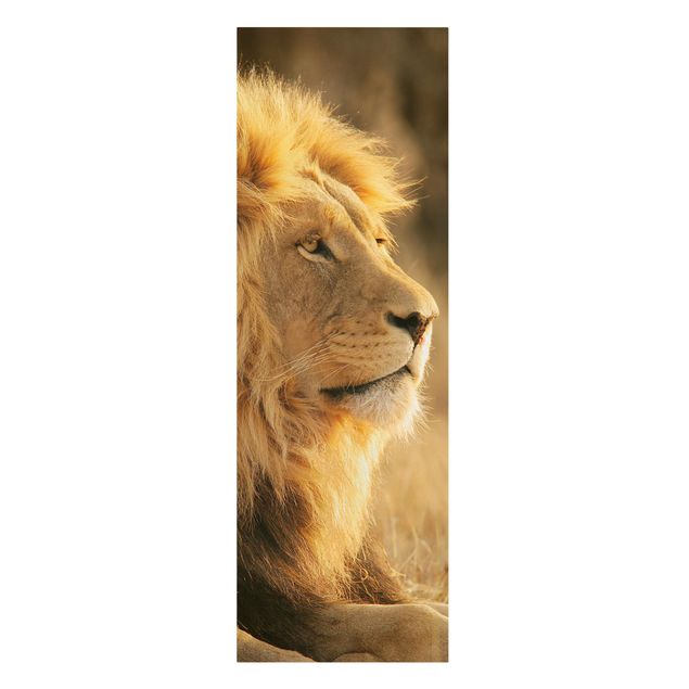 Billeder på lærred dyr King Lion