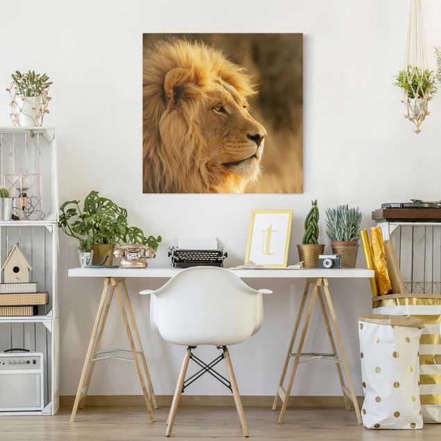 Billeder på lærred lions King Lion