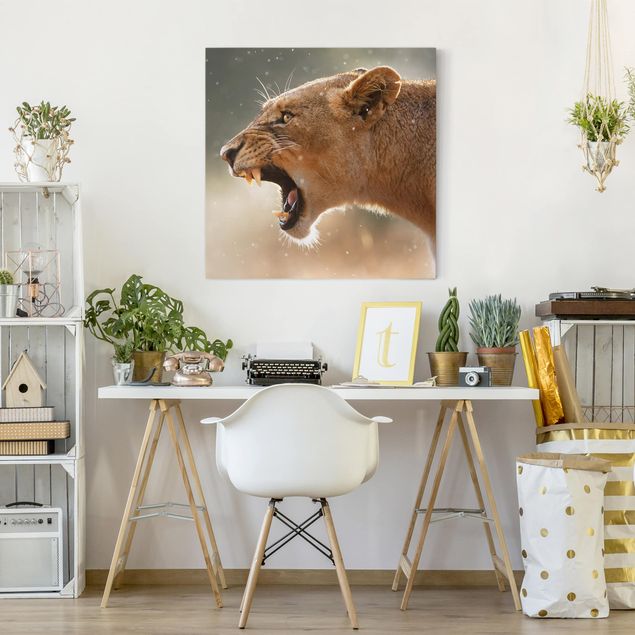 Billeder på lærred lions Lioness on the hunt