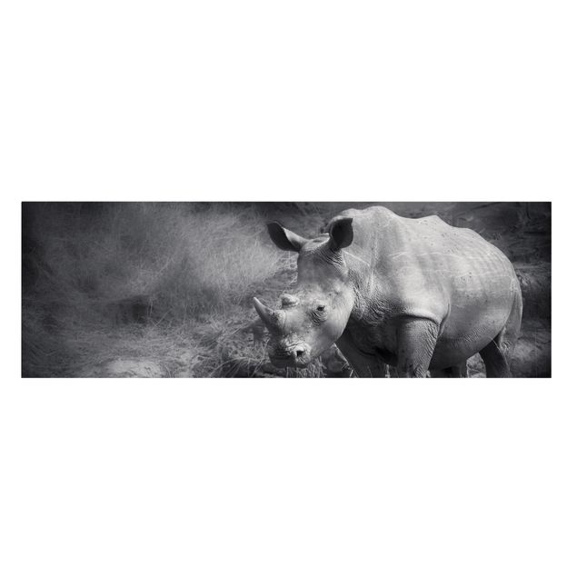 Billeder sort og hvid Lonesome Rhinoceros