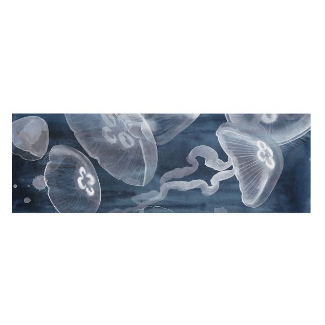 Billeder blå Moon Jellyfish I