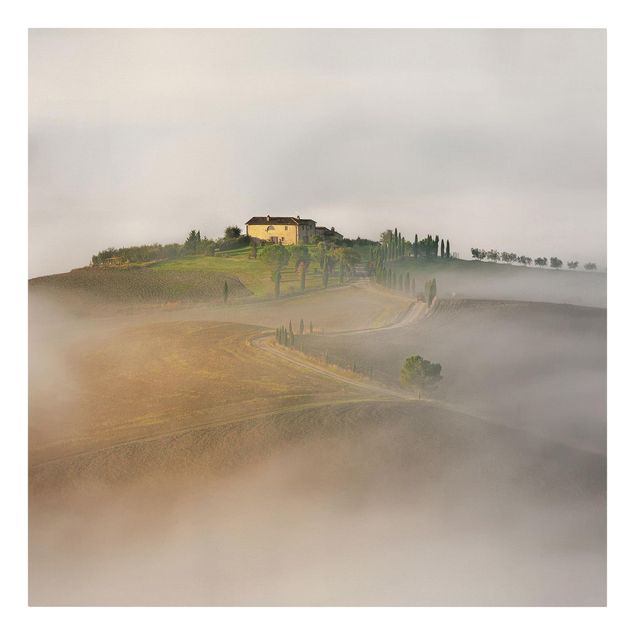 Billeder natur Morning Fog In The Tuscany