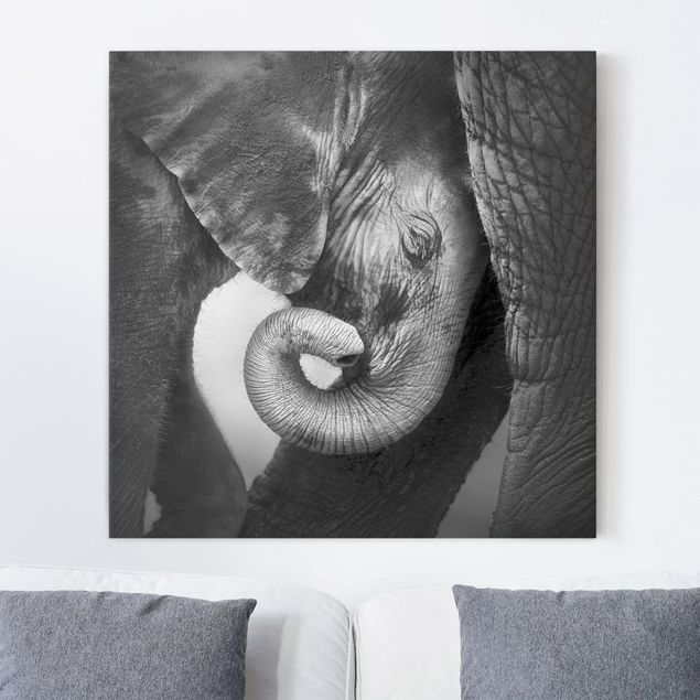 Billeder på lærred elefanter Mother's Love