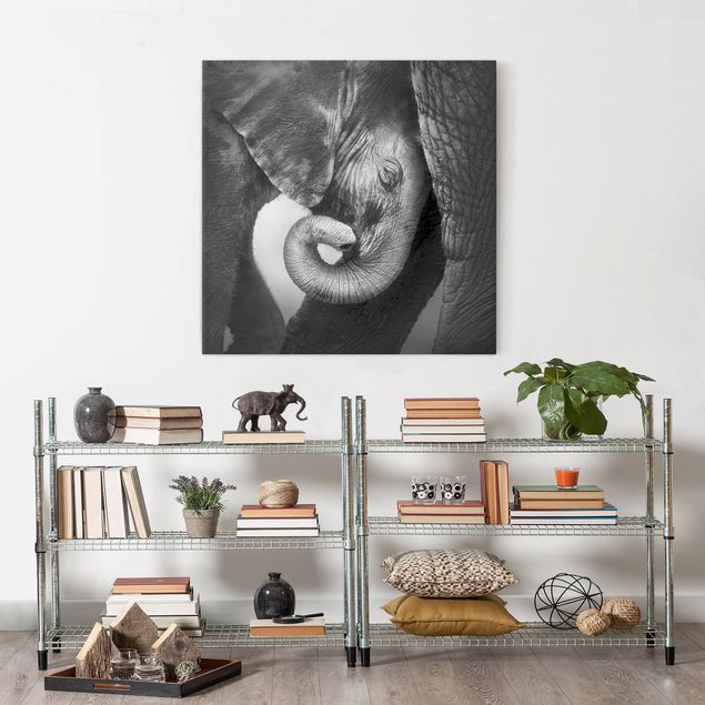 Billeder elefanter Mother's Love