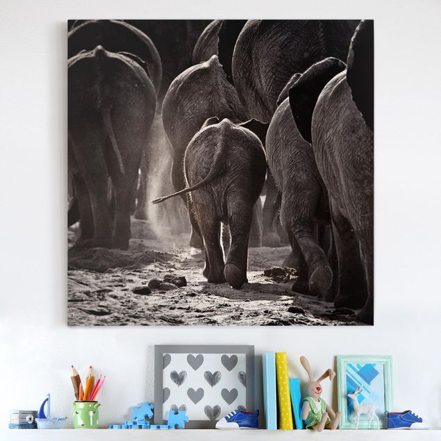 Billeder på lærred elefanter Going Home