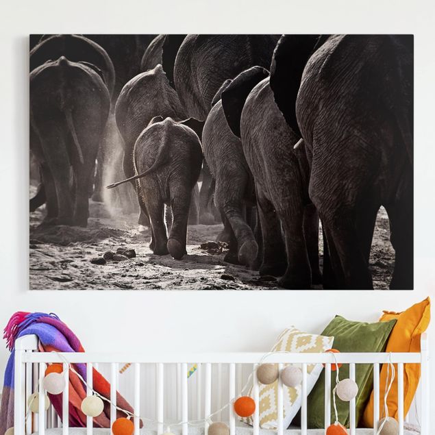 Billeder på lærred elefanter Going Home