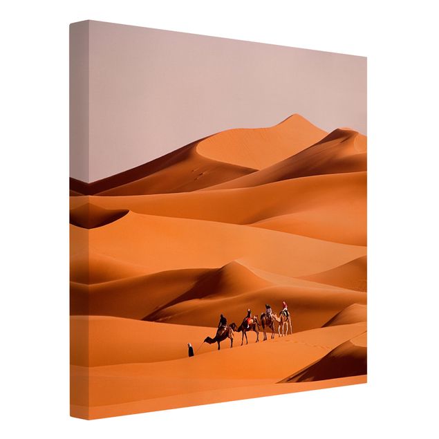 Billeder landskaber Namib Desert