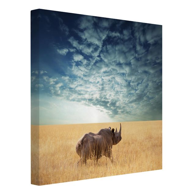 Billeder på lærred landskaber Rhino In The Savannah