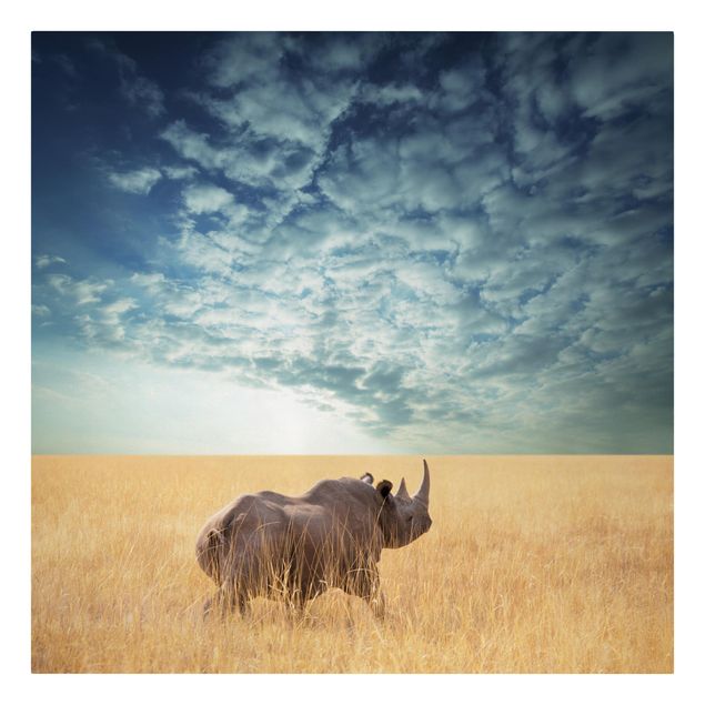 Billeder på lærred dyr Rhino In The Savannah