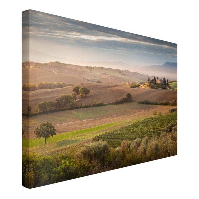 Billeder på lærred landskaber Olive Grove In Tuscany