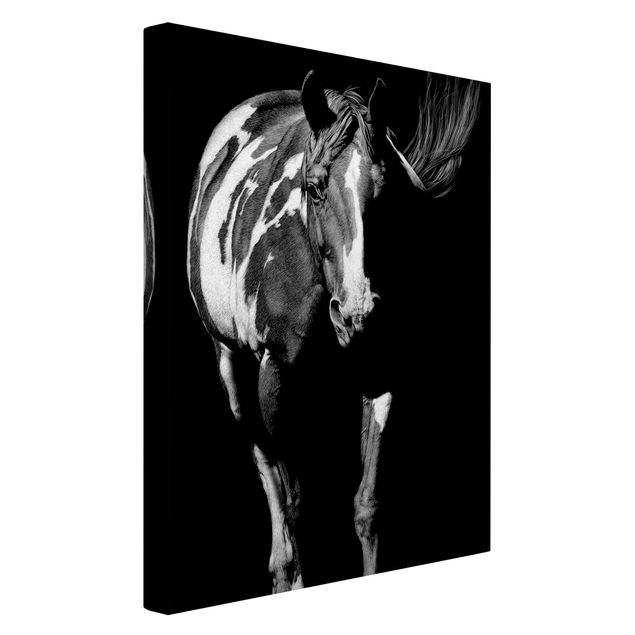 Billeder på lærred sort og hvid Horse In The Dark