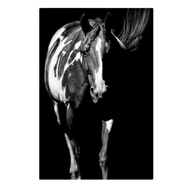Billeder på lærred dyr Horse In The Dark