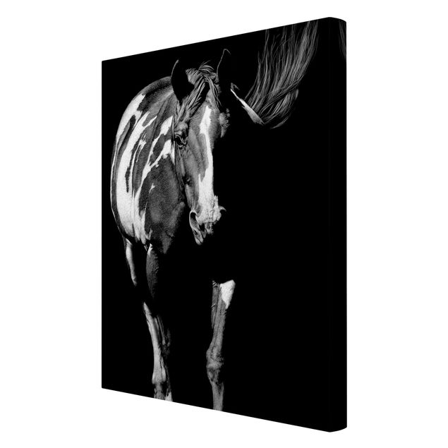 Billeder moderne Horse In The Dark
