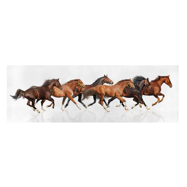 Billeder moderne Horse Herd