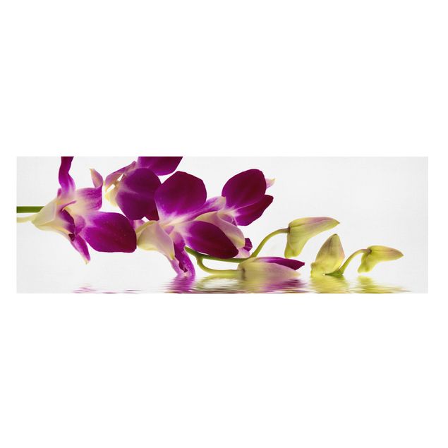 Billeder blomster Pink Orchid Waters