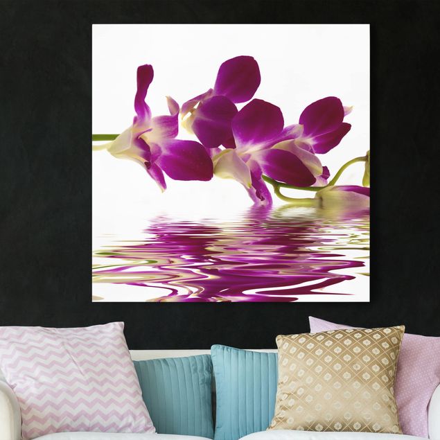 Billeder orkideer Pink Orchid Waters