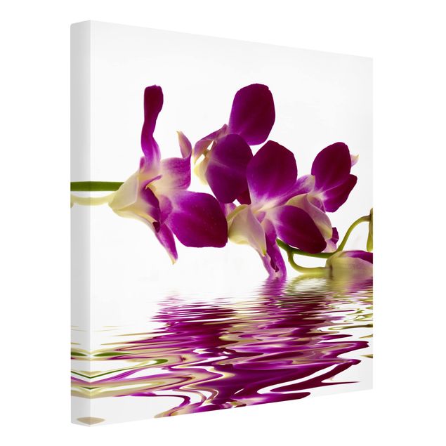 Billeder på lærred blomster Pink Orchid Waters