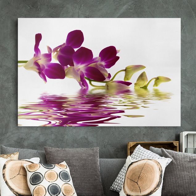 Billeder orkideer Pink Orchid Waters