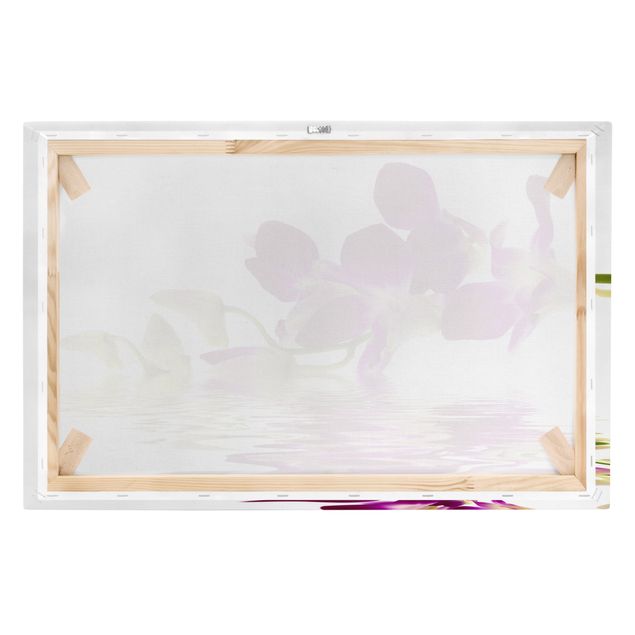Billeder Pink Orchid Waters