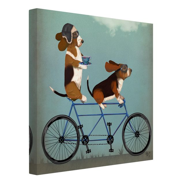 Billeder hunde Cycling - Bassets Tandem