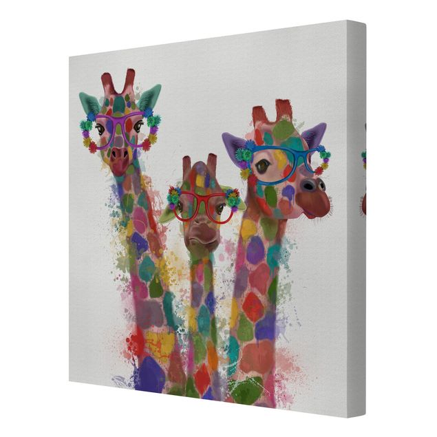 Billeder dyr Rainbow Splash Giraffe Trio